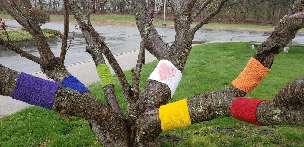 Tree with colorful yarn bombing wrapped on its limbs