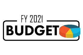 FY 2021 Budget Icon