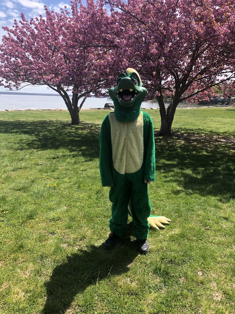DMS mascot visits NK town beach. Be on the look out for future sightings!